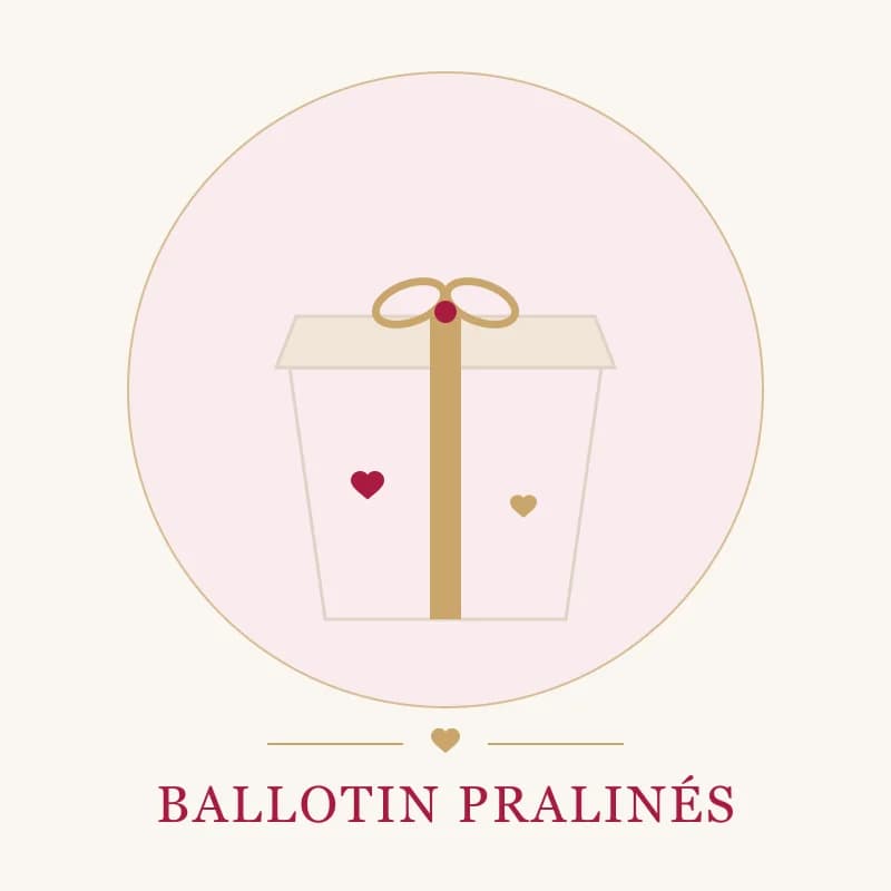 Ballotin pralinés — 16 chocolats